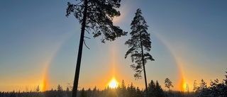 Mäktigt ljusfenomen på himlen utanför Norrköping: "Jag har aldrig sett något liknande"