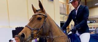 Högoddsare från Björnlunda slog till i Jönköpings Horse Show