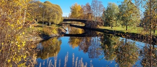 Läsarbilden: Höst längs kanalen