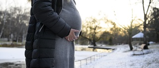 Ingenjör blev gravid – och av med jobbet