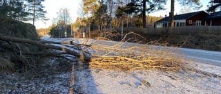 Besvärligt på vägarna på grund av blåsten