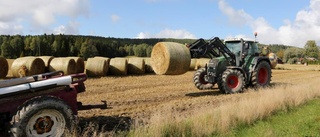 Brist på torrt hö i länet