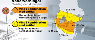 SMHI varnar: Kraftigt snöfall och blåst