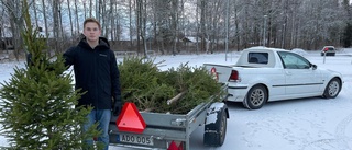 17-årige Kevin hämtar gamla julgranar med sin A-traktor