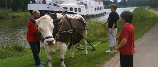 Jesper, 12, är cowboy på lovet