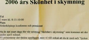 Konstnärer i tvist om skymnings-plagiat