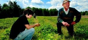 Brist i Skåne påverkar inte Västervik