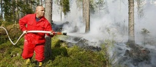 Skogsbrand vid Holfjärden