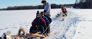 Franska flyget till Luleå gav företagare stort uppsving