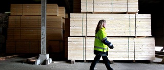 Rörvik Timber investerar i Boxholmssåg