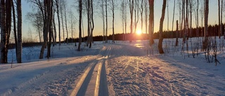 Solnedgång i Haparanda            