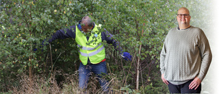 "Det är hög tid att rensa i regelträsket"