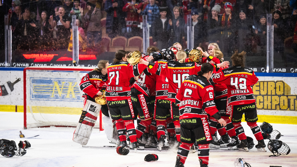Luleå Hockey värvar. En kanadensisk forward ansluter till laget. 