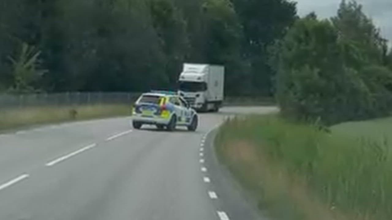 Här skrämmer polisen bort älgen