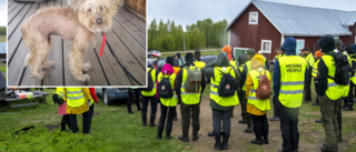 Försvunna kvinnans hund har kommit hem: "I bra skick"