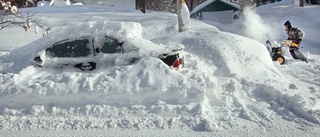 Tipsen: Så får du snön att smälta fortare