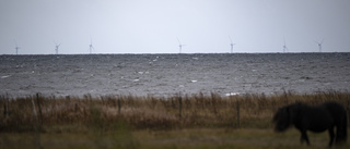 Vindkraftsbolagen vädrar morgonluft