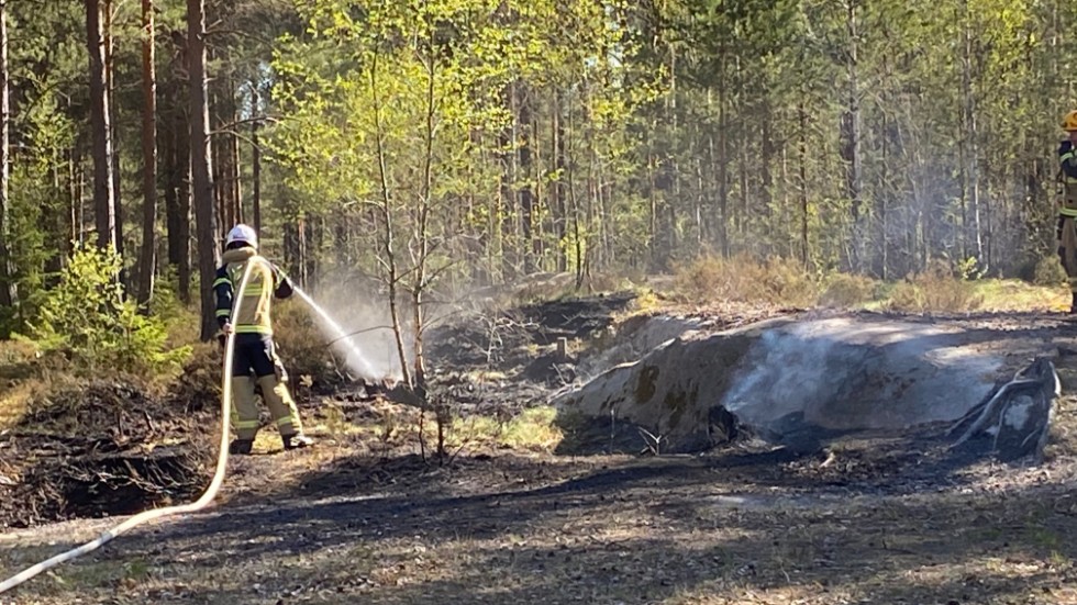 Enligt räddningstjänstens ledningsoperatör fanns aldrig någon spridningsrisk till byggnader i närheten.