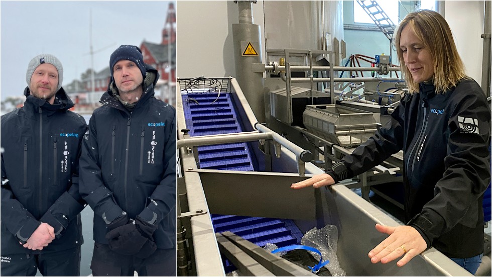 Martin Reutgard och Martin Karlsson startade föreningen Ecopelag och ska nu försöka utveckla en metod för musselodling som är kommersiellt gångbar. Susanna Minnhagen är på plats i gamla fiskfabriken i Västervik.