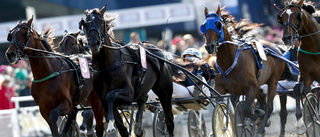 Elitloppet - något alla borde uppleva någon gång i livet