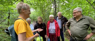 Magisk natur och rik kulturhistoria • Landshövdingen blir djupt imponerad av Hårsbäcksdalen