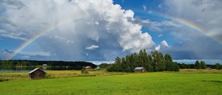 Läsarbilden: Sommar i Gäddvik 