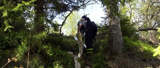 Flera dygns bevakning väntar efter skogsbrand mellan Äs och Bie