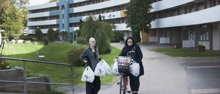 Elenor och Emelie samlade upp nästan 8 kilo skräp från gatorna