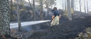 Skogsbrand härjade utanför Åby