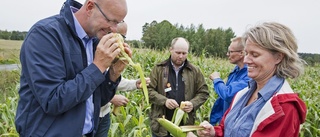 KD-politiker besökte Glindrans gård