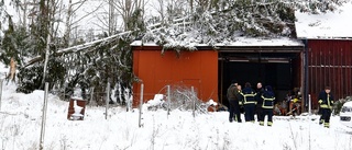 Träd över maskinhall