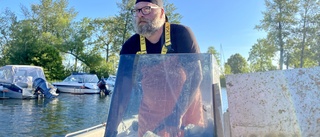 Häng med på fisketur • Ola och Caroline offrar semestern för kräftfisket – fångar 40-45 kg om dagen