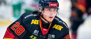 Uppgift: Hästen lånar från SHL