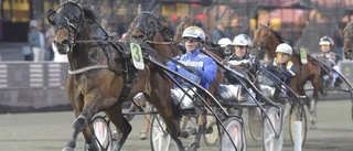 Kvällens Skellefteå-omgång kryddas med jackpottmiljoner – Selmer I.H och Olly Håleryd hemmahästar i favoritposition