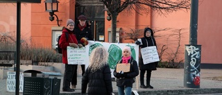 De unga droppade av – de äldre blev kvar i Fridays for future: "Glamouröst har det aldrig varit"