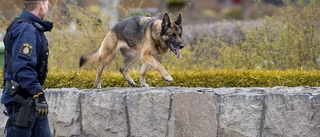 Polishund åt glasögon – kvinna får ersättning