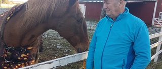 31-årige travaren Balloon Dance tog 21 segrar • Bytte sport – och fick fart på karriären • Ägaren: ”Har överlevt alla”