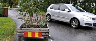 Striktare regler för att ställa ut blomlådor på gatan