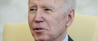 Ukrainakrisen – Biden skickar fler soldater