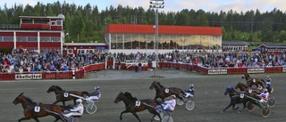 Favoritseger på Skelleftetravet