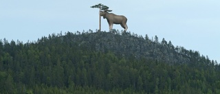 Ny ansökan om bygglov för Stoorn