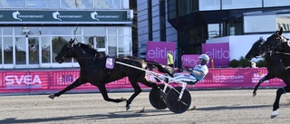 Don Fanucci Zet klar för Elitloppet