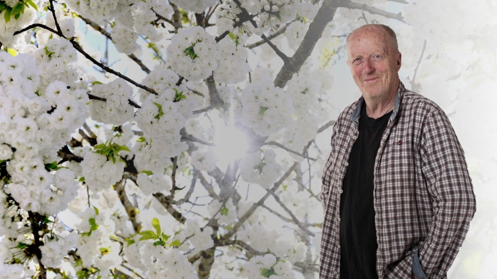 Bernt ”Bison” Nilsson är återkommande krönikör i Gotlands Tidningar.