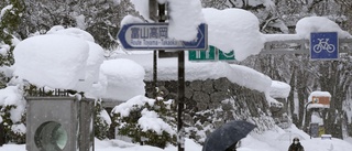 Snökaos i Japan