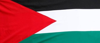 Skamligt att förbjuda Palestinas flagga