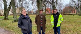 Konkreta planerna: Så kan omdiskuterade parken förändras