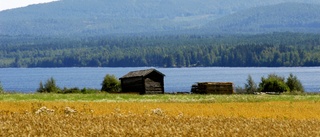 När Norrland behövde växtkraft svek politikerna