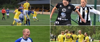 Inför den glödheta fotbollshelgen: Sporten svarar på frågorna • "Han har varit seriens bästa spelare"