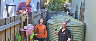 Framtiden för öns vatten kan finnas i Australien