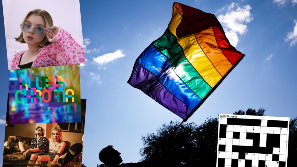 Yarlie, Klubb Chroma, The Magnettes och Melodikrysset är några av nöjeshöjdarna under helgens Luleå Pride.